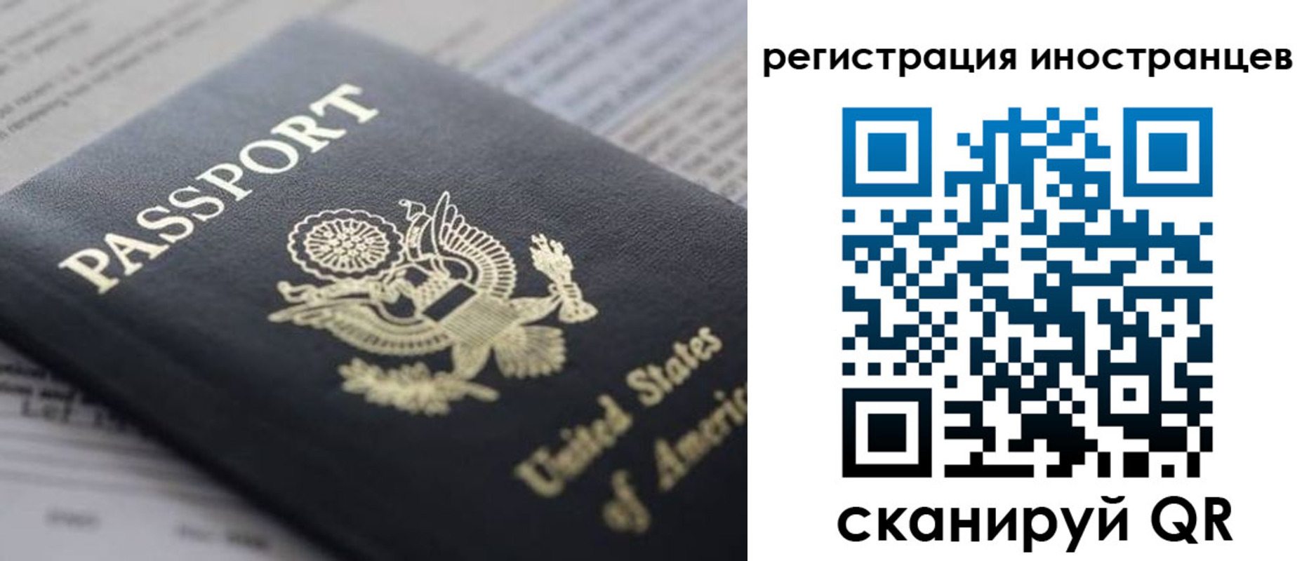 регистрация в Владимирской области