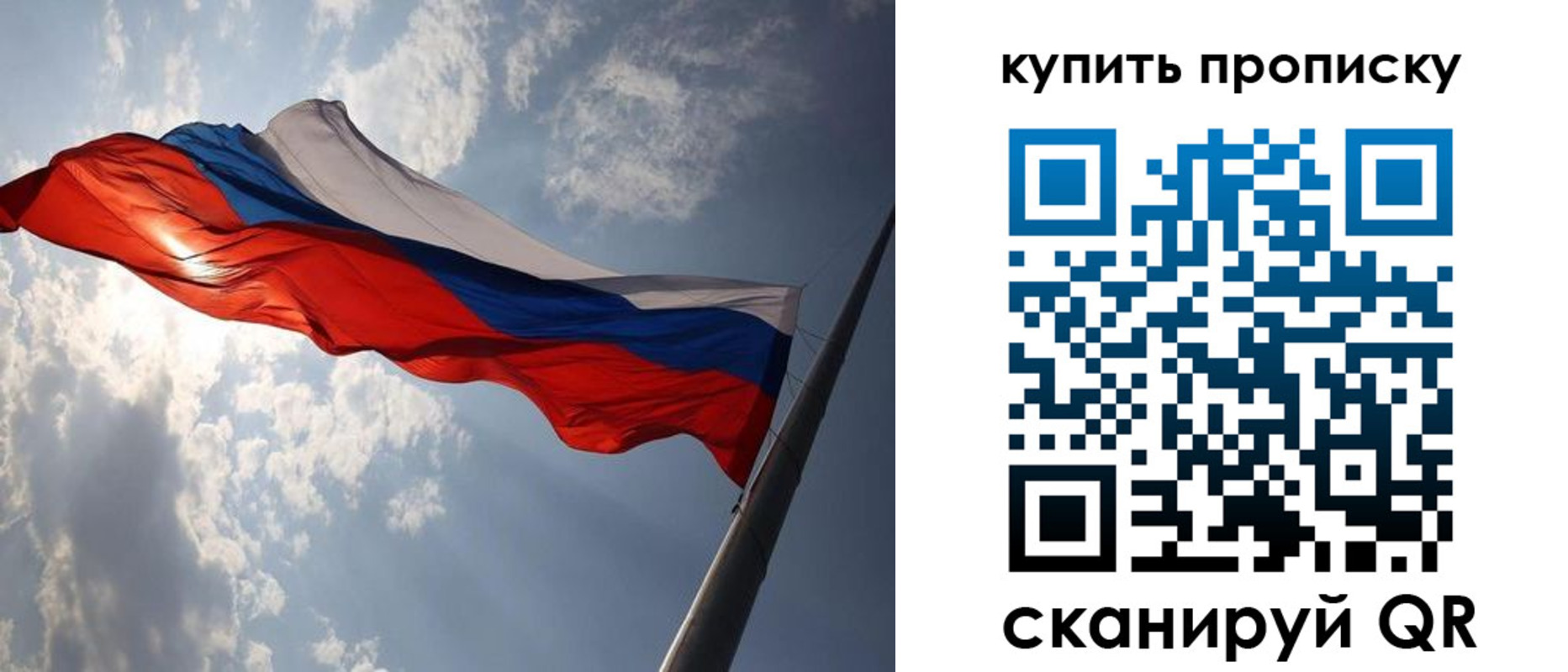 временная регистрация поиск в Владимирской области